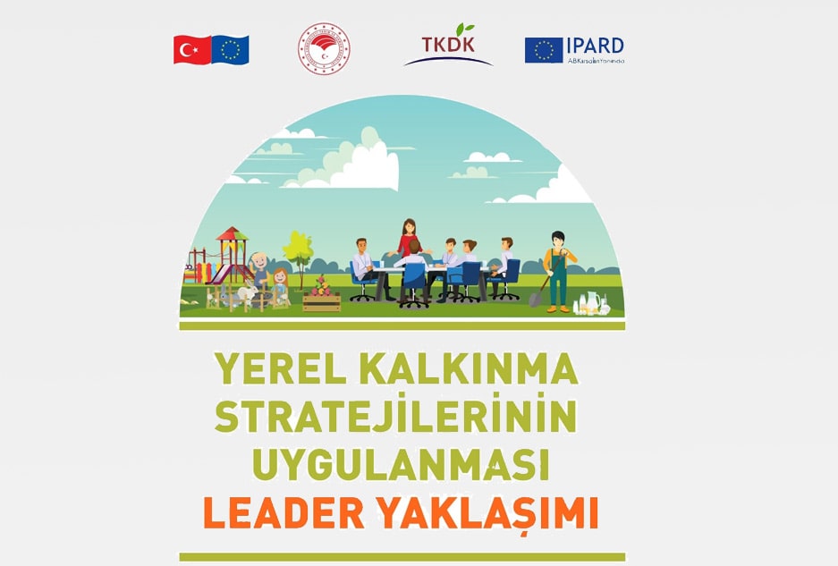 Leader Yaklaşımı